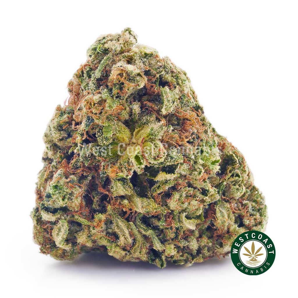 Buy Cannabis Colombian Gold at Wccannabis Online Shop