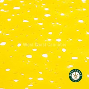 Buy Premium Shatter - Maui Wowie (Sativa) at Wccannabis Online Dispensary