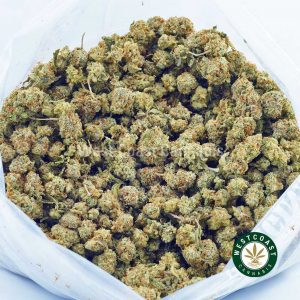 Buy Cannabis Tropicana Popcorn at Wccannabis Online Shop