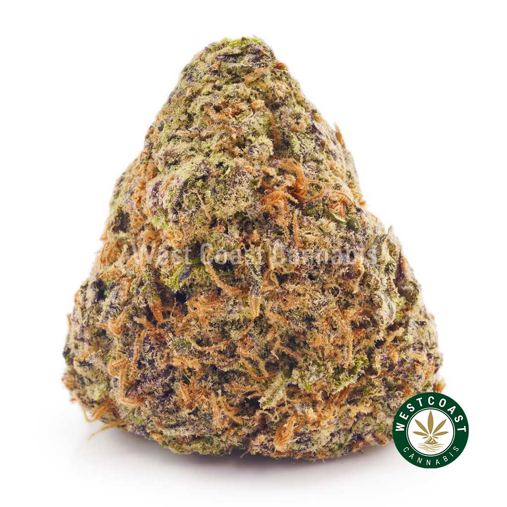 Buy Cannabis Blueberry Pie at Wccannabis Online