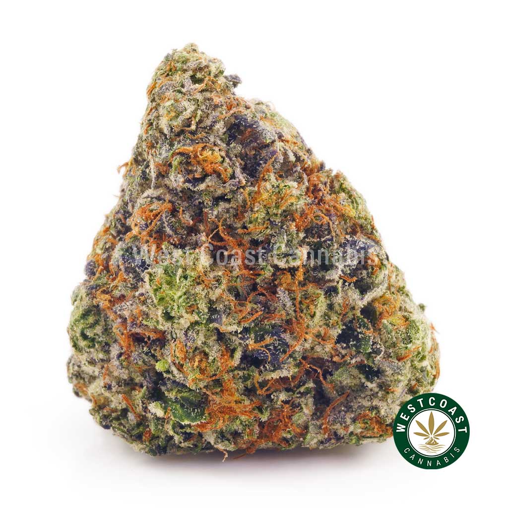 Buy weed Pink Gasoline at West Coast Cannabis online dispensary Canada. order cannabis online. mail order weed canada.