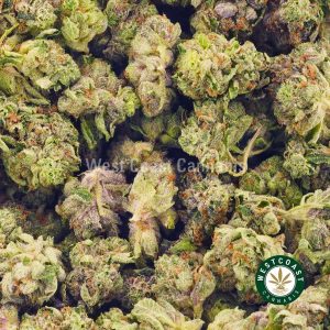Buy Blueberry Octane weed online from mail order marijuana online dispensary West Coast Cannabis Canada in BC.