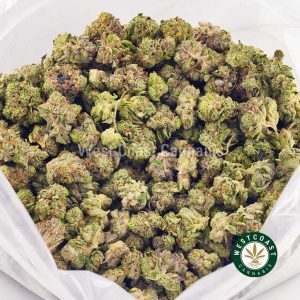 buy weed Blueberry Octane from west coast cannabis online dispnesary Canada. weed online canada. top mail order marijuana.