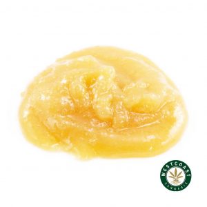 Buy Caviar Blueberry Muffin at Wccannabis Online Shop