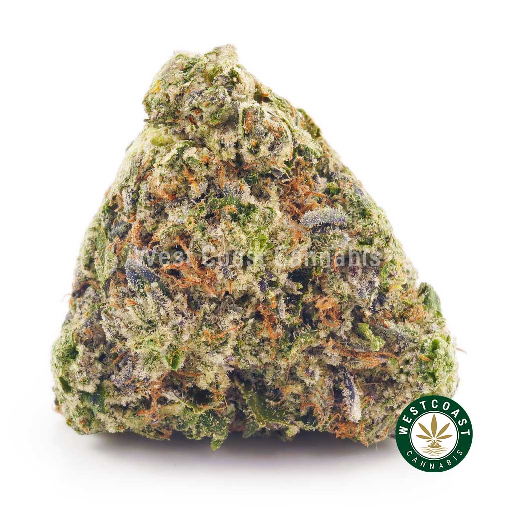 Buy Cannabis Pink Ice Wreck at Wccannabis Online Shop
