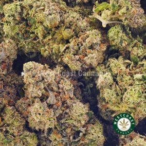 Buy Cannabis Platinum Death Star at Wccannabis Online Shop