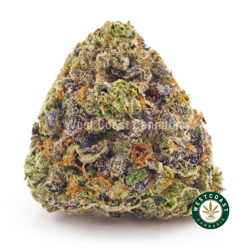 Buy Cannabis Purple Gas at Wccannabis Online Shop