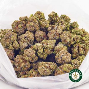 Buy Cannabis King Bubba at Wccannabis Online Shop