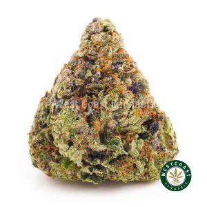 buy weeds online pine tar strain pine tar kush. online weed dispensary. order cannabis online.