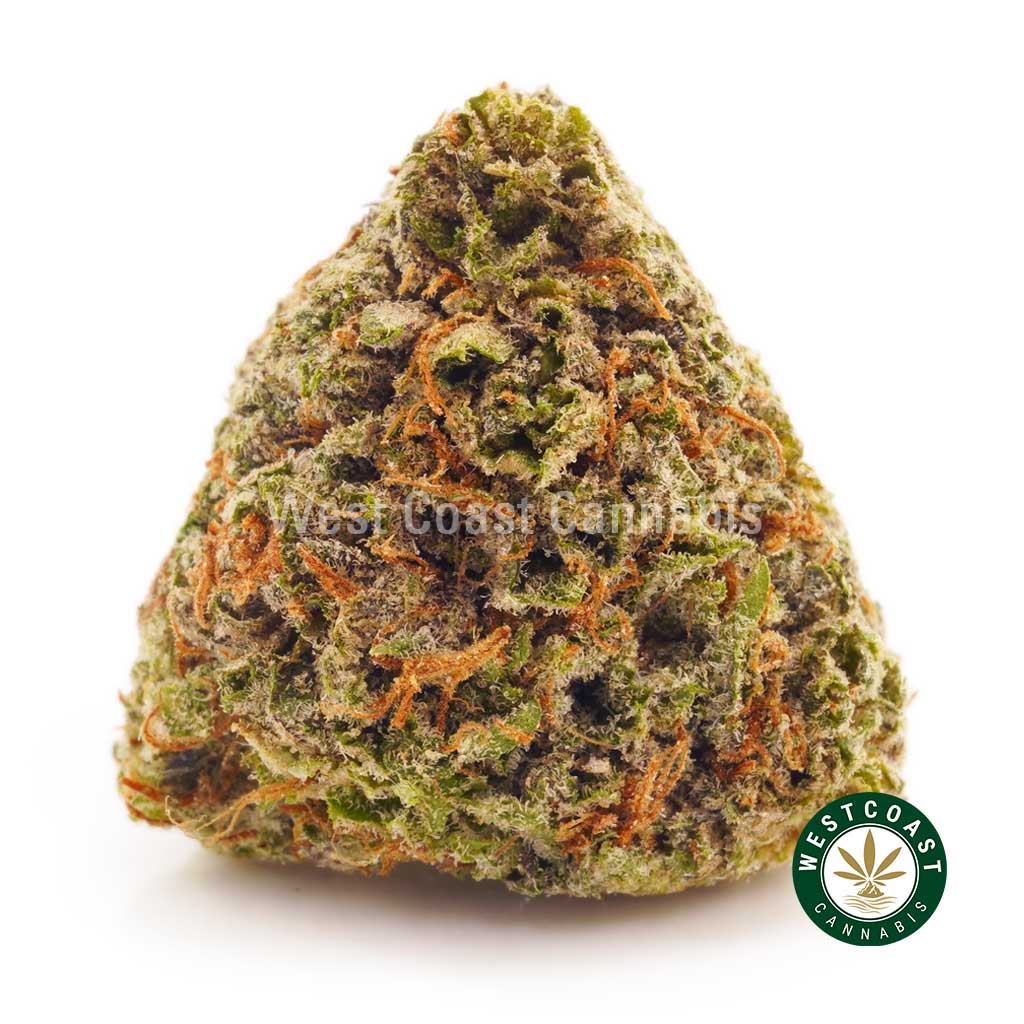 buy online weeds king tut strain at online dispensary and mail order weed shop west coast cannabis in BC Canada.