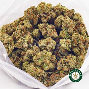 Buy Cannabis Sweet Harlem Diesel at Wccannabis Online Shop