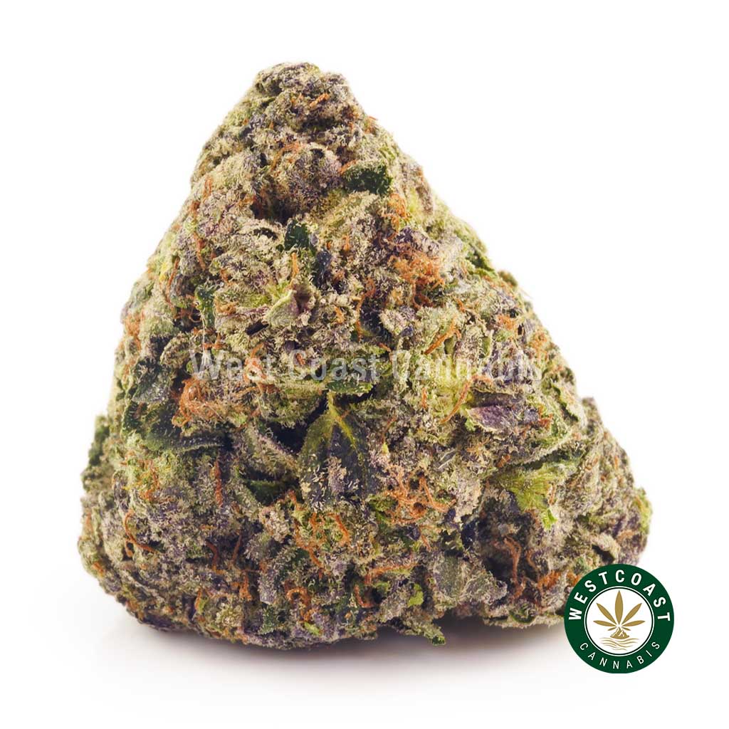 91 Supreme weed bud from West Coast Cannabis. Buy weed online from the best online dispensary in Canada.