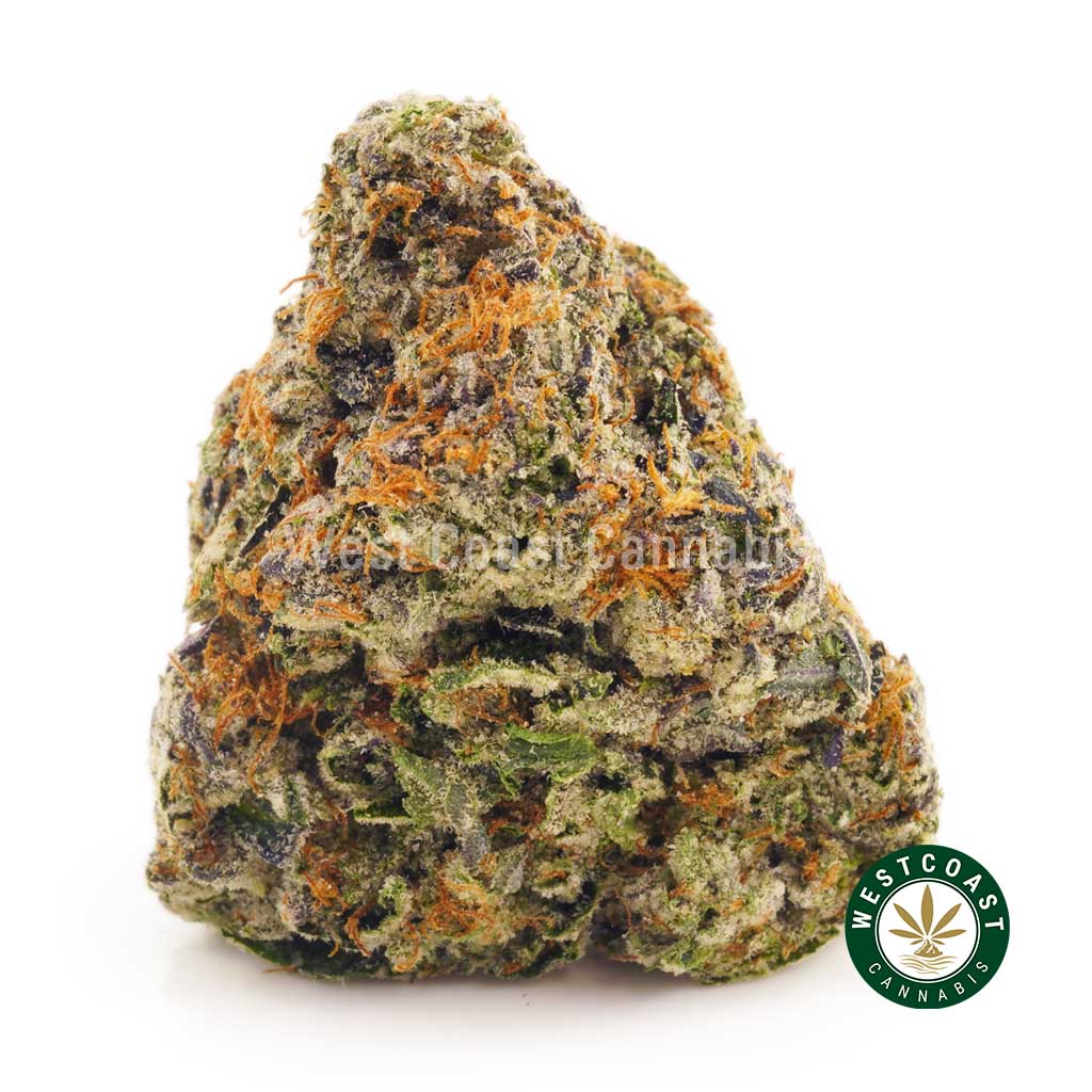 Order weed online Hindu Kush buds at West Coast Cannabis Canada. buy weed online canada. mail order marijuana. mail order weed canada.