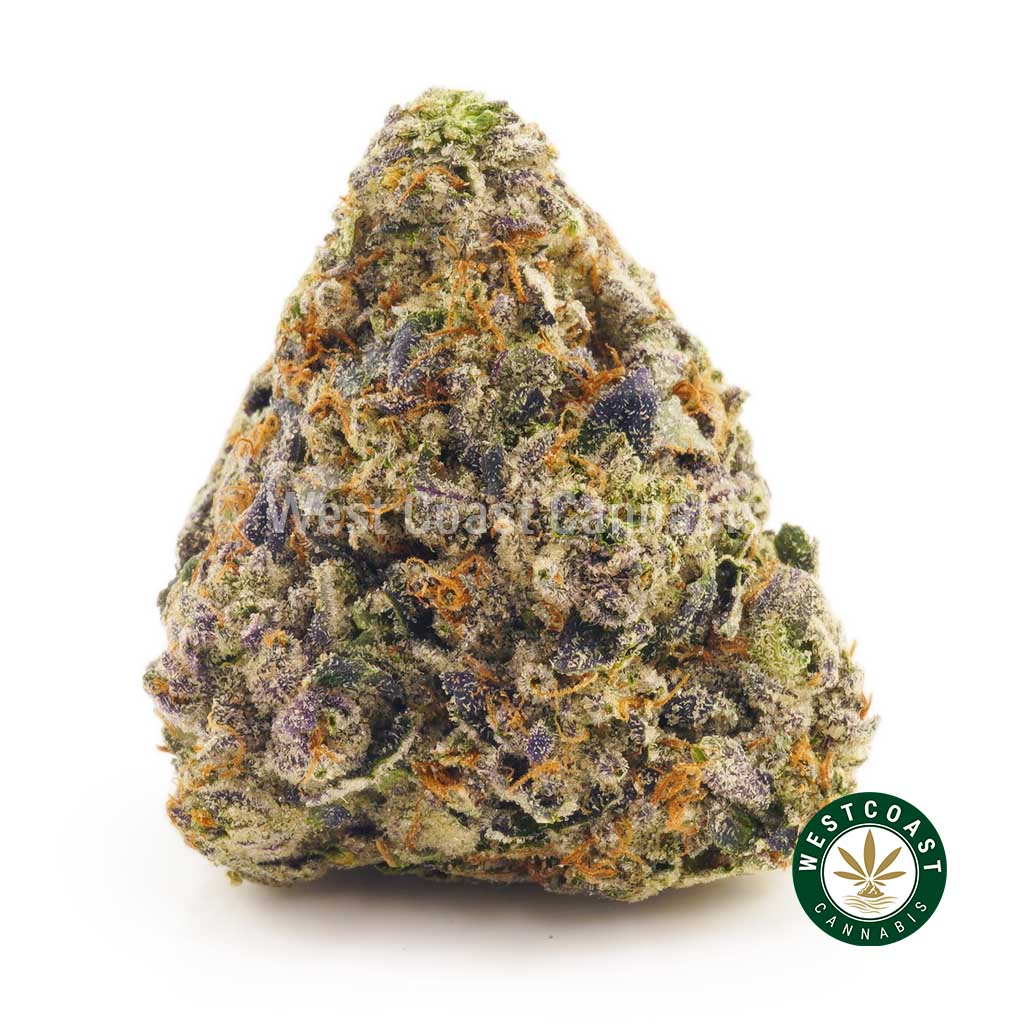 Buy Cannabis Blueberry Rockstar at Wccannabis Online Shop