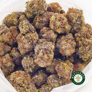 pink picasso weed nug image. Best weed shop online in Canada. We are an online weed shop with fast shipping. purple kush for sale, crystal coma strain for sale. buy marijuana online.