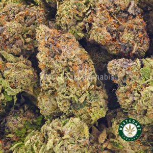 Pink Widow strain bud for sale at online dispensary. buying weed online. order weed canada. weed shop online.