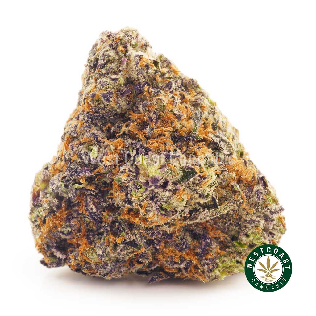 Order weed online Island Pink Kush from wccannabis. Pink Island Kush weed online in Canada.