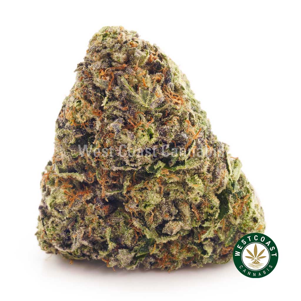 image of nugget of el diablo weed for sale. buy pot online. pink kush strain, hindu kush strain, and bubba kush weed. Best place for buying pot online in Canada.