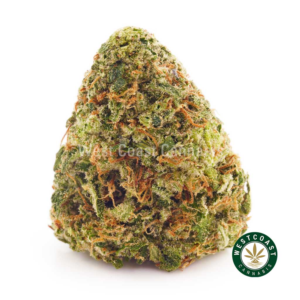 Strawberry Cough strain weed at west coast cannabis online dispensary. Get weed online Canada from online dispensary to buy weed.