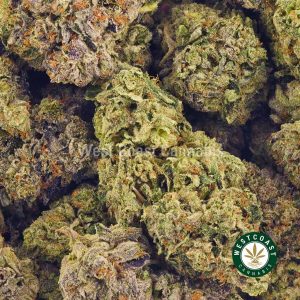 Buy Cannabis Pink Frost at Wccannabis Online Shop