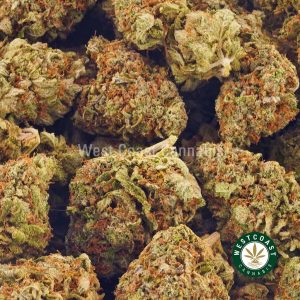 Buy weed Blueberry Mimosa AAA at wccannabis weed dispensary & online pot shop