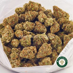 Buy weed Blueberry Mimosa AAA at wccannabis weed dispensary & online pot shop
