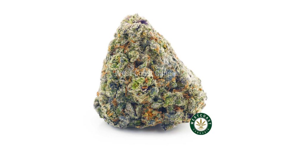 blue cheese marijuana strain from west coast cannabis online dispensary for BC cannabis. marijuana dispensary.
