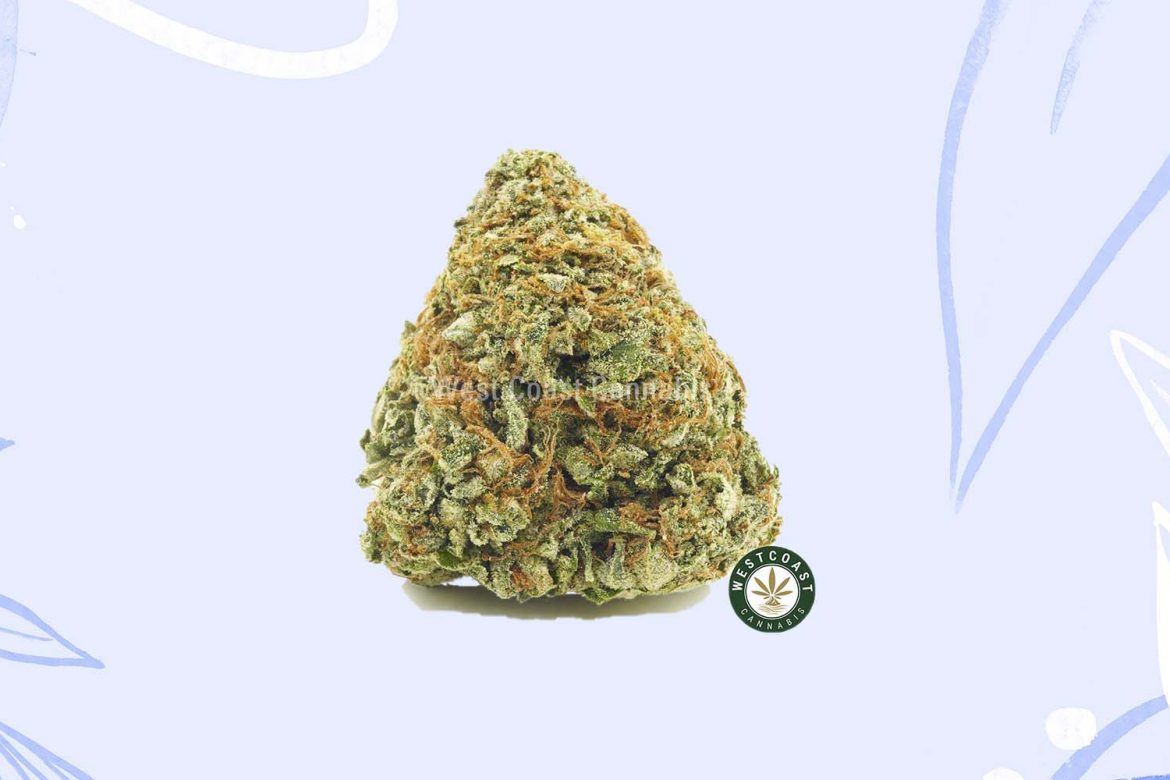 Buy weed online Blue God strain from West Coast Cannabis Canada online weed dispensary.