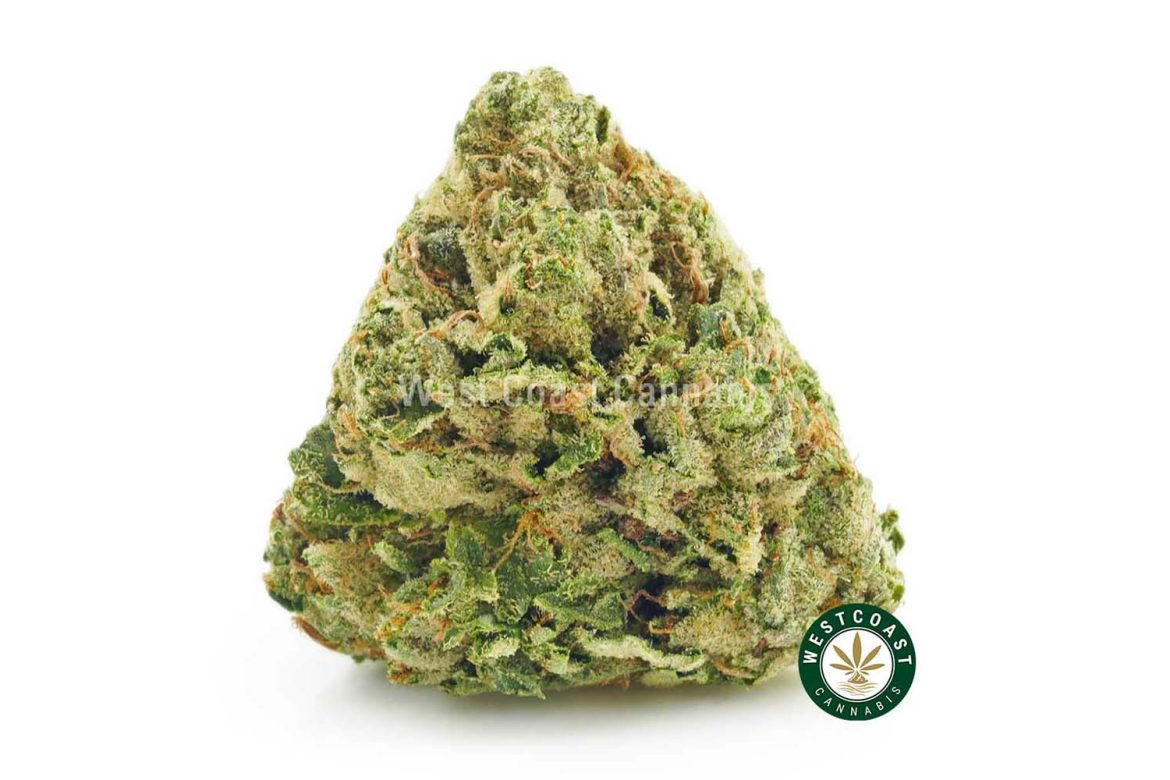 BLUEBERRY OG Strain Review. Buy Weed Online. Mail Order Marijuana Weed Shop.