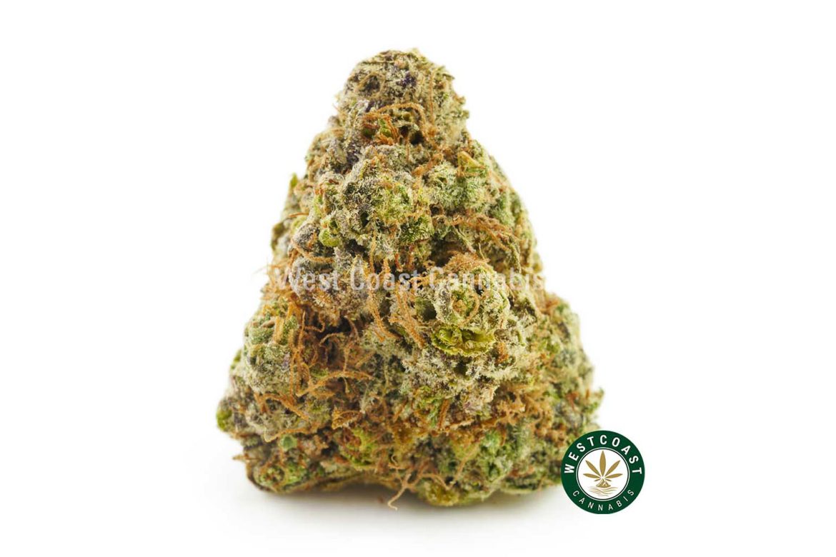 Buy Chocolate Kush weed online in Canada at top mail order marijuana online dispensary West Coast Cannabis.