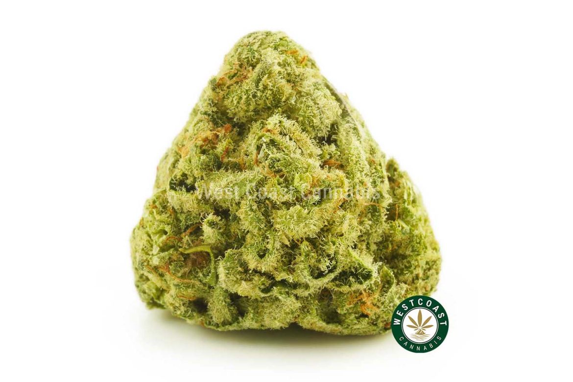 Violator Kush strain bud from West Coast Cannabis mail order marijuana weed online. buy weeds online.