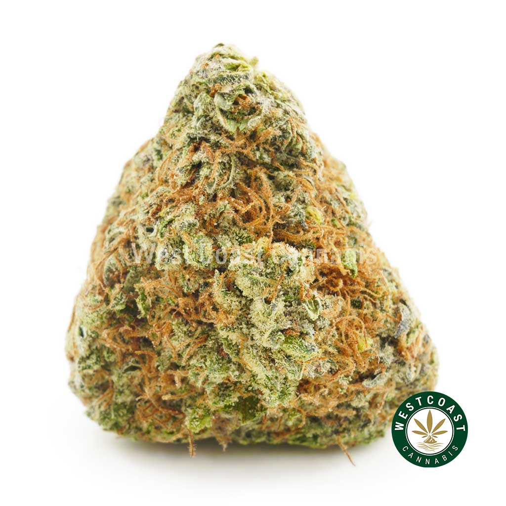 Order weed online Sunflower Sunshine strain at WCC West Coast Cannabis Canada order weed online canada
