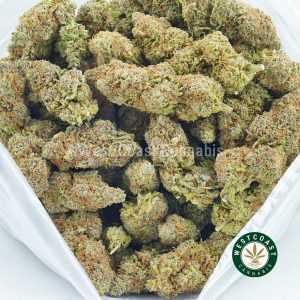 Buy weed online Sunflower Sunshine at the top mail order marijuana online dispensary in Canada. WCC West Coast Cannabis.
