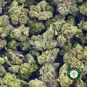 Buy Cannabis Platinum Kush Popcorn at Wccannabis Online Shop