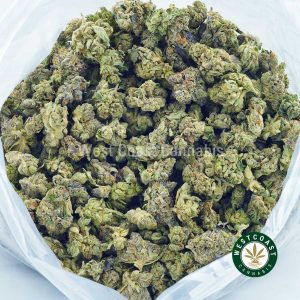 Buy Cannabis Platinum Kush Popcorn at Wccannabis Online Shop