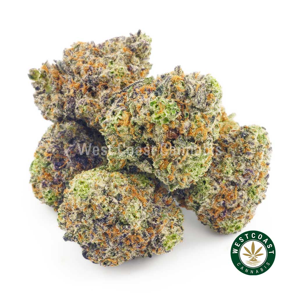 Buy Cannabis Blueberry Bomb Popcorn at Wccannabis Online Shop