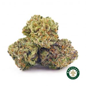 Buy popcorn cannabis Gelato 33 strain weed online. order weed online canada from the best online dispensary.
