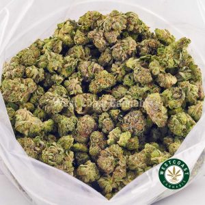 Buy weed online Gelato 33 strain. Popcorn cannabis nugs. buy weeds online. mail order weed canada.