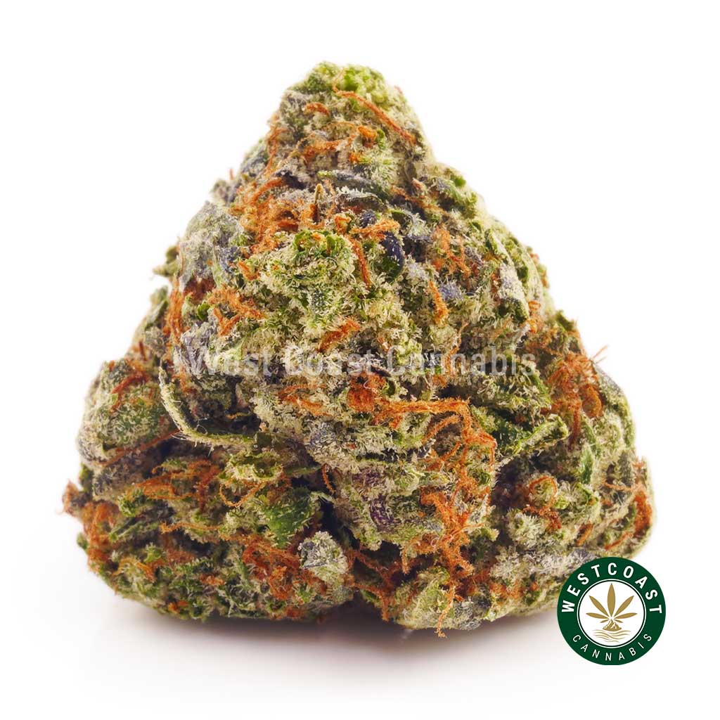 Buy Cannabis Purple Diesel at Wccannabis Online Shop