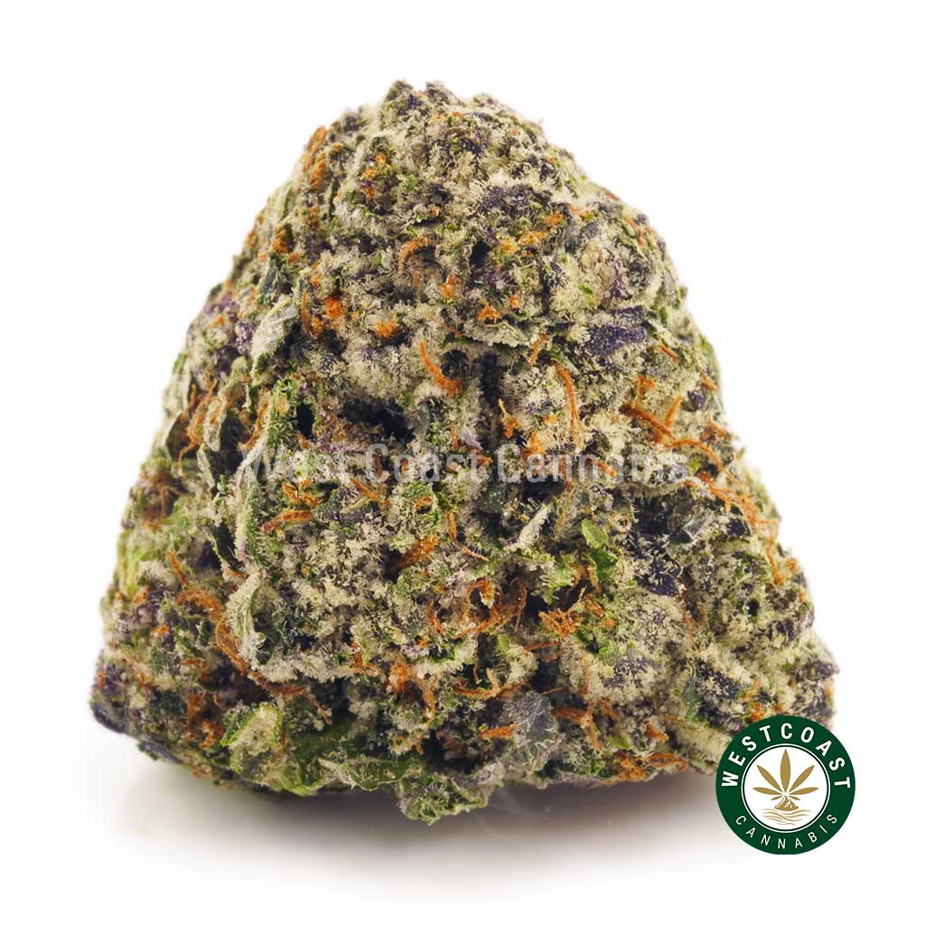 Buy Cannabis Blueberry Supreme at Wccannabis Online Shop