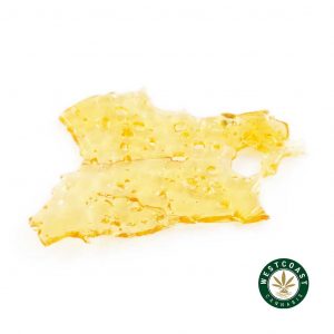 Buy shatter online canada. White Widow shatter cannabis concentrate from the best online dispensary in Canada.
