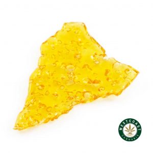 Buy shatter Canada Megalodon hybrid cannabis concentrates. can you buy shatter in alberta.