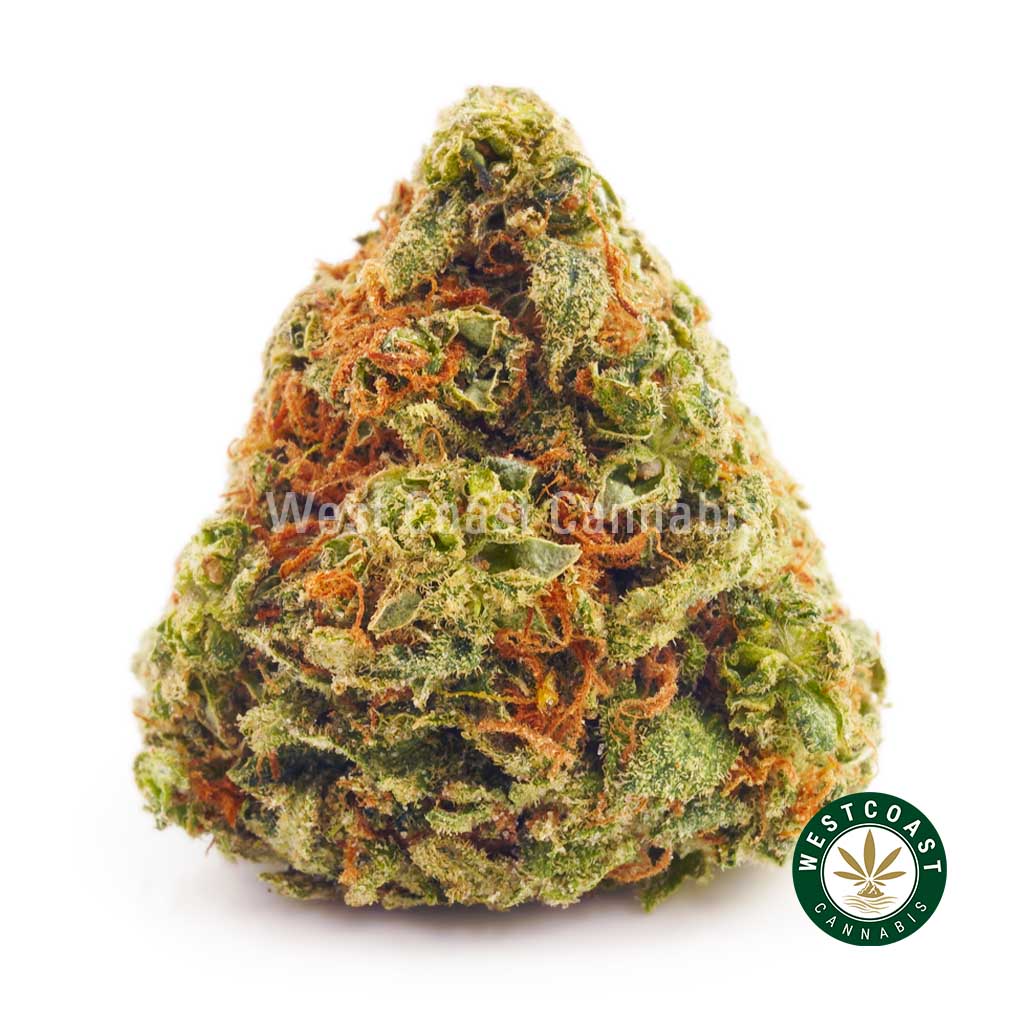 Buy mango punch strain weed online cannabis canada. Online dispensary for mail order marijuana.