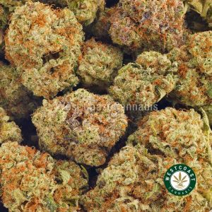 Buy Cannabis Platinum Gorilla Glue #4 at Wccannabis Online Shop
