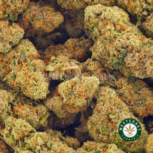 Buy Cannabis Congo Guava at Wccannabis Online Shop