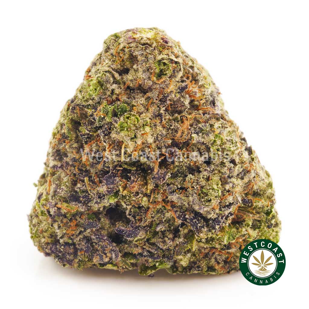 Buy Cannabis Pink Sunset at Wccannabis Online Shop