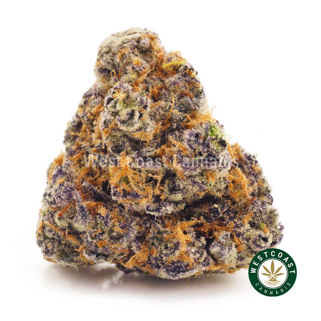 Buy Cannabis Blueberry Express at Wccannabis Online Shop