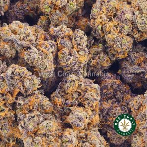 Buy Cannabis Blueberry Express at Wccannabis Online Shop