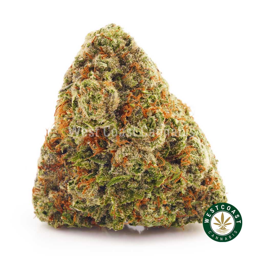 Buy Gorilla Glue 4 and Gorilla Glue #4 strain online from West Coast Cannabis online dispensary in Canada to buy weed online.