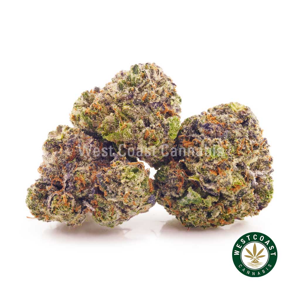 Buy Cannabis Pink Champagne at Wccannabis Online Shop